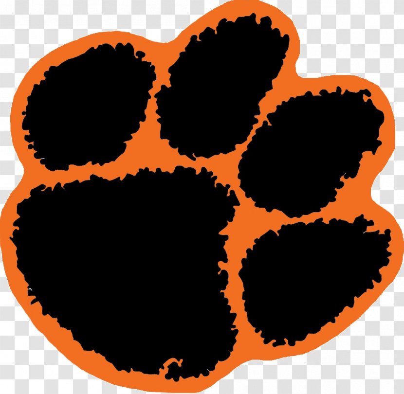 Clemson University Tigers Football Auburn American - Tiger Transparent PNG