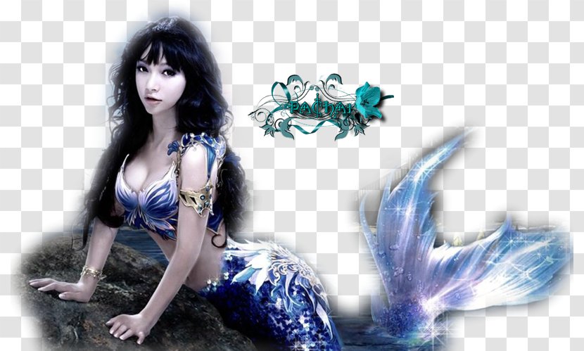 Mermaid Desktop Wallpaper Legend Cat Translator - Silhouette Transparent PNG