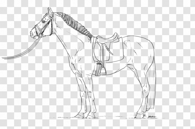 Horse Line Art Dressage Equestrian Drawing - Like Mammal Transparent PNG