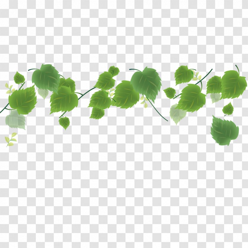 Vector Green Leaves - Symbol - Tree Transparent PNG