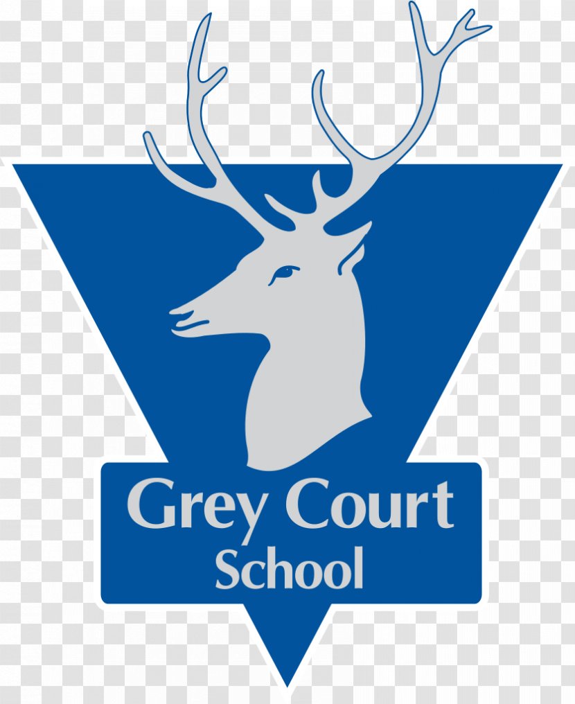 Grey Court School Teddington Coat Hospital Kew College The Ashcombe - Netball Transparent PNG