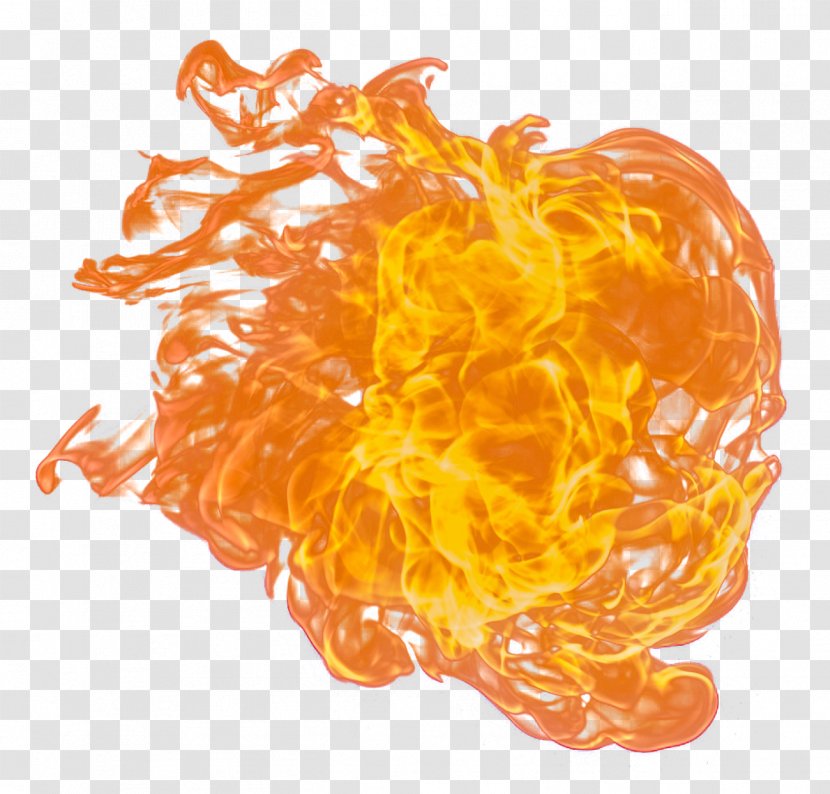 Flame Fire Light - Tree Transparent PNG