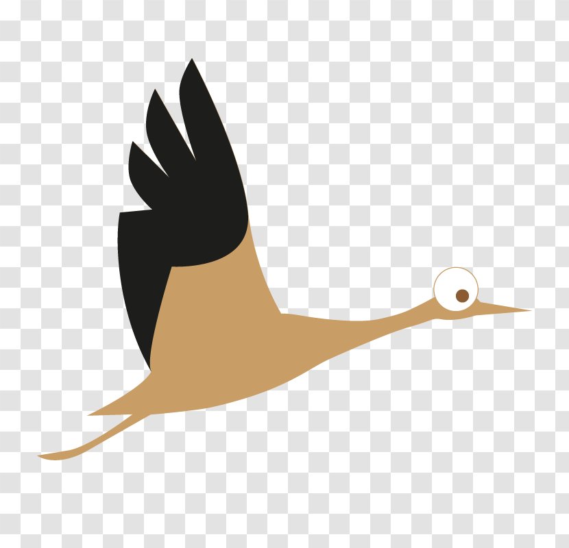 Water Bird Goose Cygnini Duck - Kinder Garten Transparent PNG