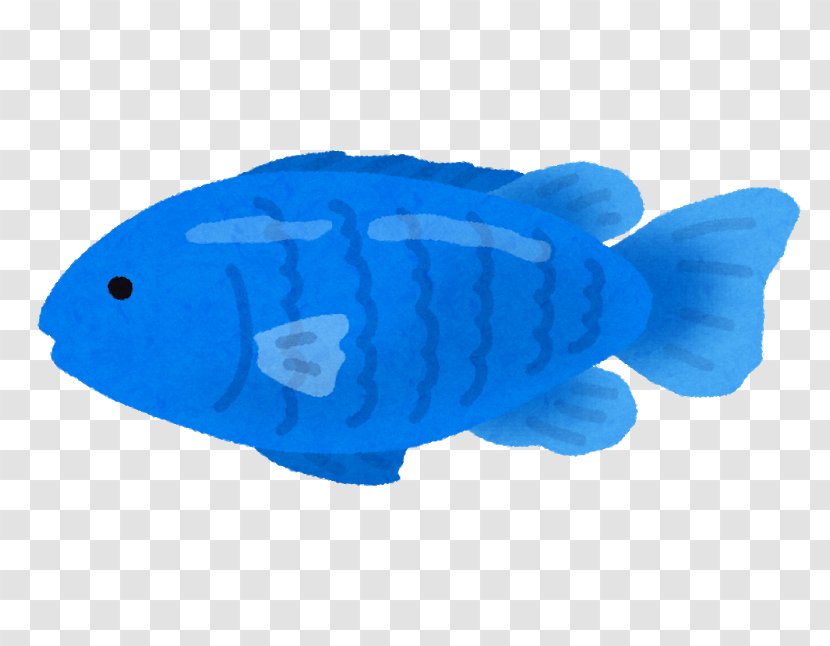 Threespot Dascyllus Whitetail Blue Devil Chromis Notata Fish Transparent PNG