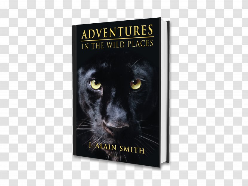 Secret History Of The Jungle Book Business Black Panther - Wild Adventure Transparent PNG