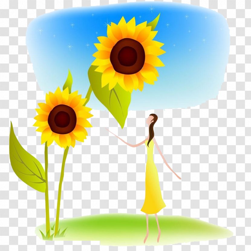 Cartoon Common Sunflower Illustration - Silhouette Transparent PNG