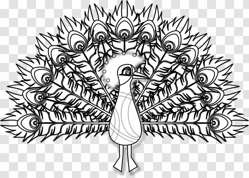 Bird Black And White Peafowl Line Art - Artwork - Peacock Transparent PNG