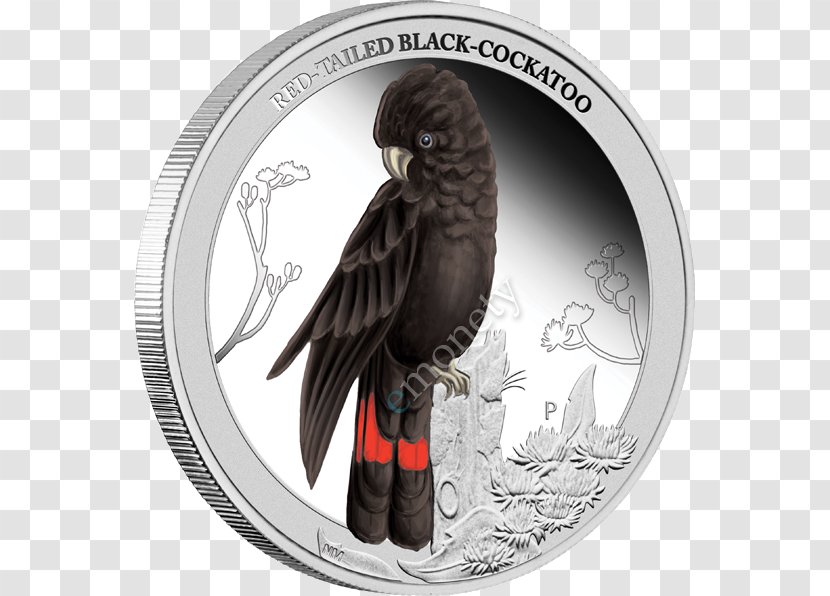 Perth Mint Bird Red-tailed Black Cockatoo Budgerigar Yellow-tailed - Silver Transparent PNG