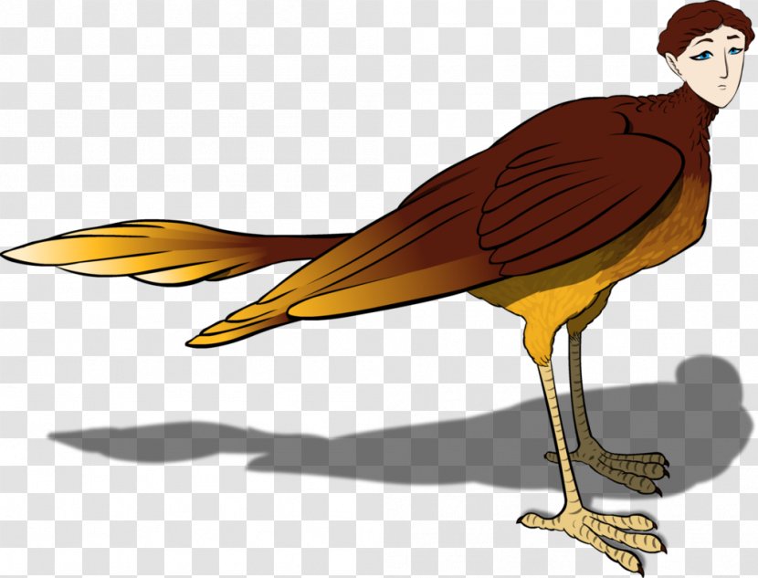 Bird Of Prey Beak Water Illustration - Siren Mythology Transparent PNG