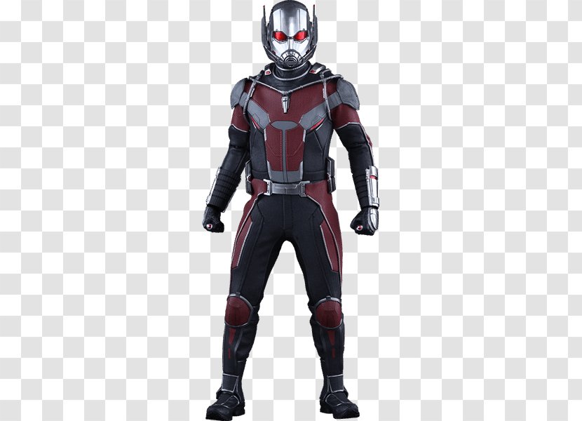 Hank Pym Captain America Iron Man Vision Marvel Cinematic Universe - Hot Toys Limited Transparent PNG
