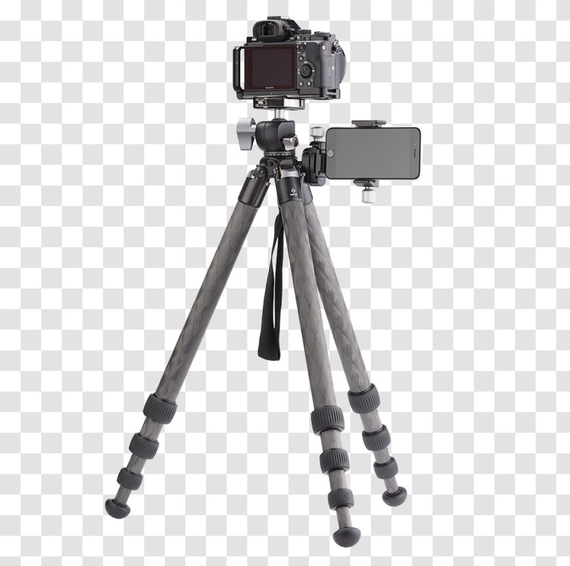 Tripod Photography Altazimuth Mount Ball Head Camera - Wildlife Transparent PNG