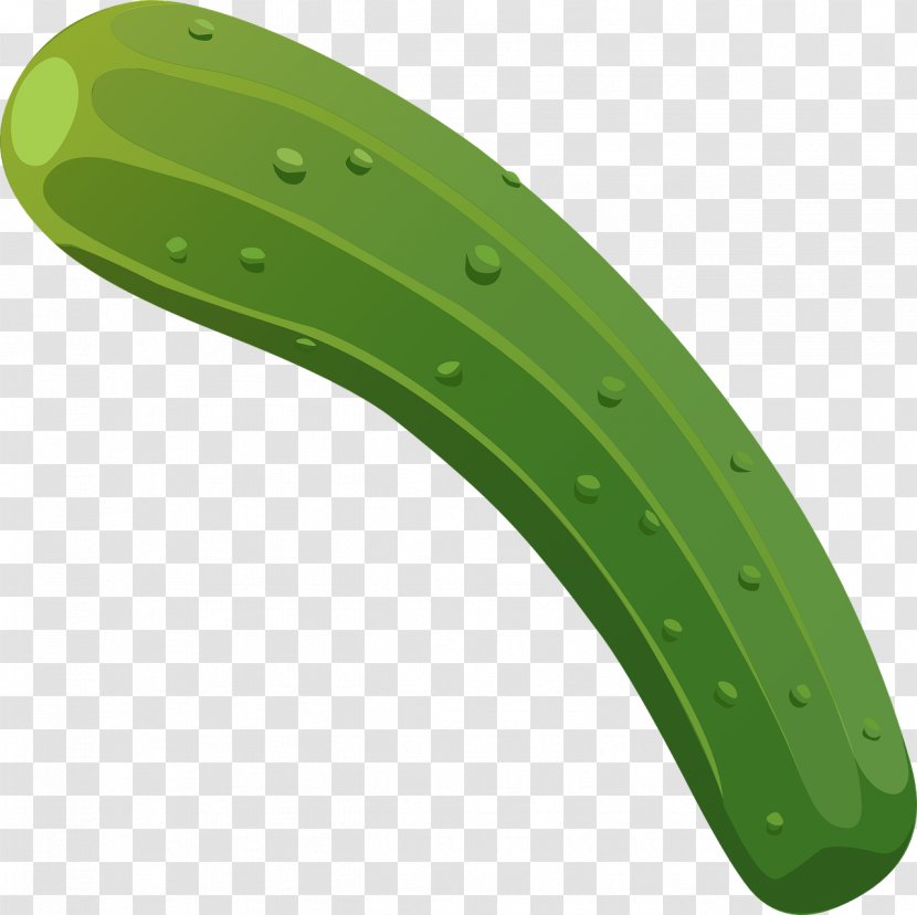 Cucumber Euclidean Vector - Green - Curved Transparent PNG