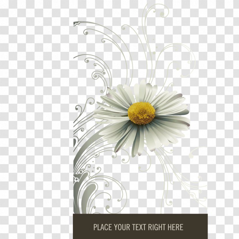 Motif Google Images Clip Art - Grey - Chrysanthemum Decorative Patterns Transparent PNG