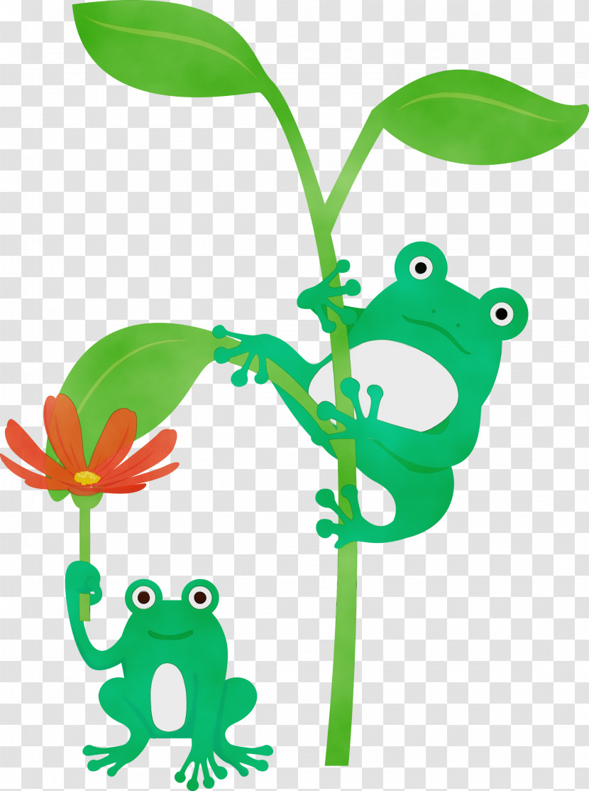 Leaf Plant Stem Frogs Tree Frog Cartoon Transparent PNG