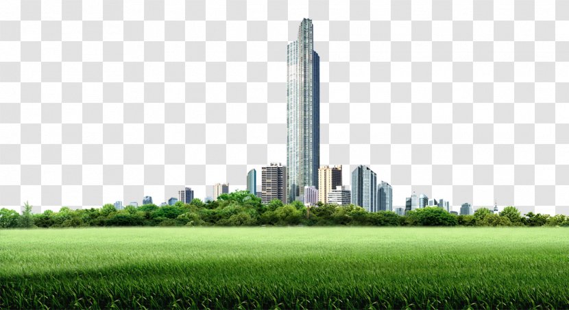 Lawn Poster Tree Building - Skyscraper - Tall Trees And Grass Background Material Transparent PNG