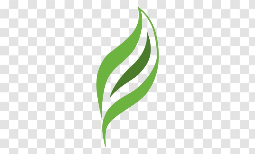 Leaf Logo Plant Stem Brand Font Transparent PNG