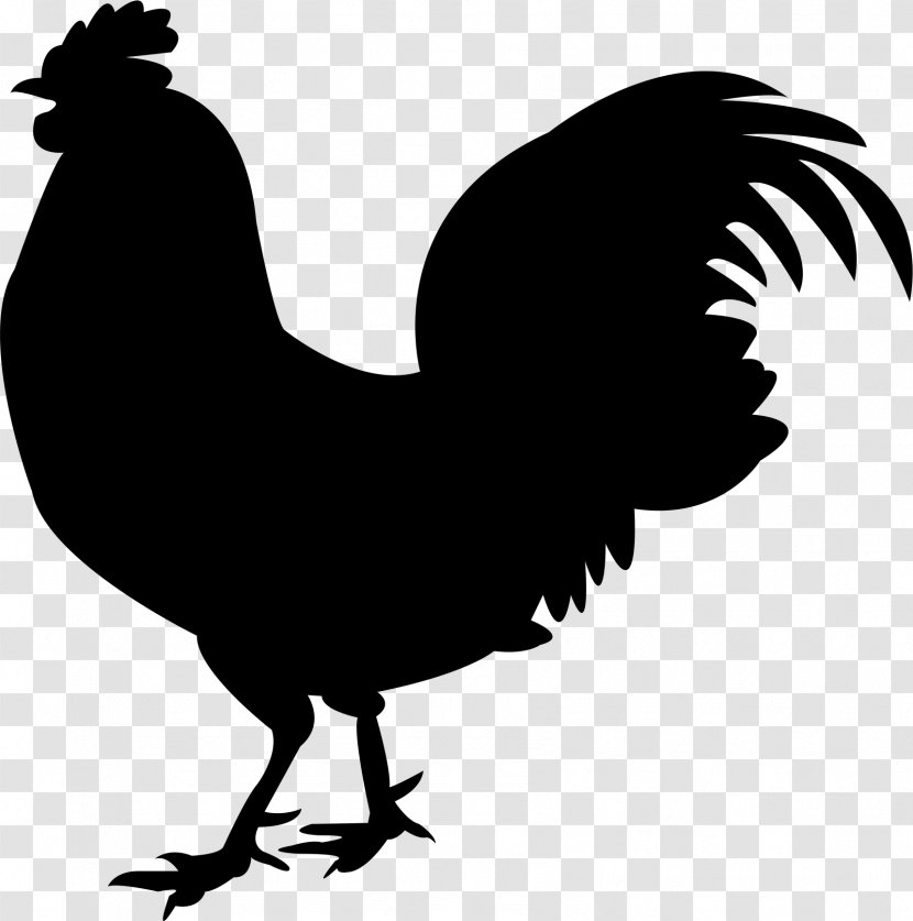 Chicken Meat Silkie Rooster - Monochrome Photography Transparent PNG