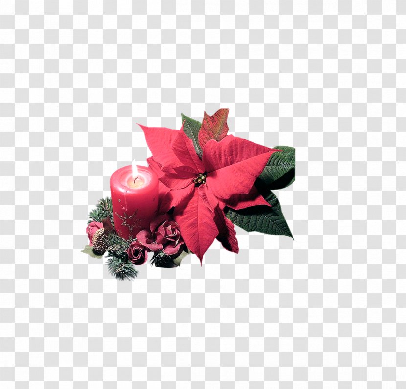 Christmas Animation Candle - Flower - Flowers,candle,image Transparent PNG