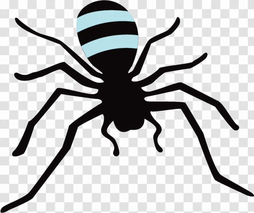 Spider Insect Black Line Arachnid - Wet Ink - Pest Head Transparent PNG