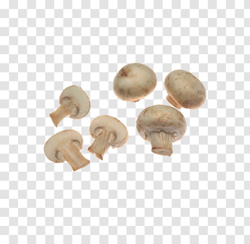 Mushroom - Transparency And Translucency - Straw Transparent PNG