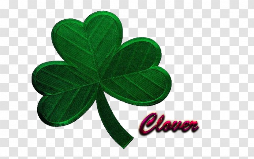 Shamrock Ireland Iron-on Embroidered Patch Clover - Irish People - Watercolor Transparent PNG