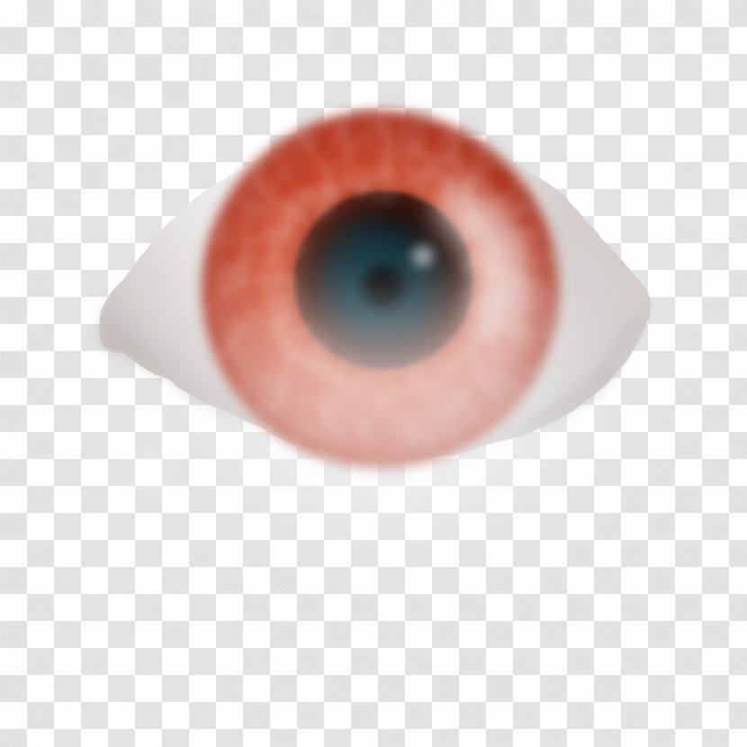 Close-up - Close Up - Eye Drawing Transparent PNG