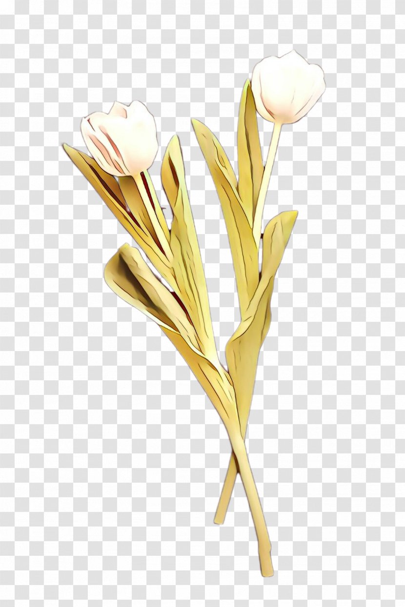 Flowers Background - Tulip - Arum Family Artificial Flower Transparent PNG
