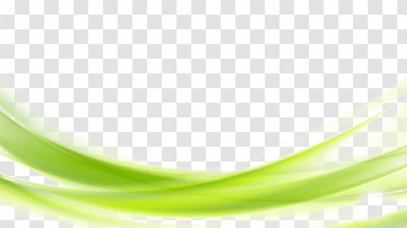 Green Wallpaper - Product Design - Background Transparent Transparent PNG