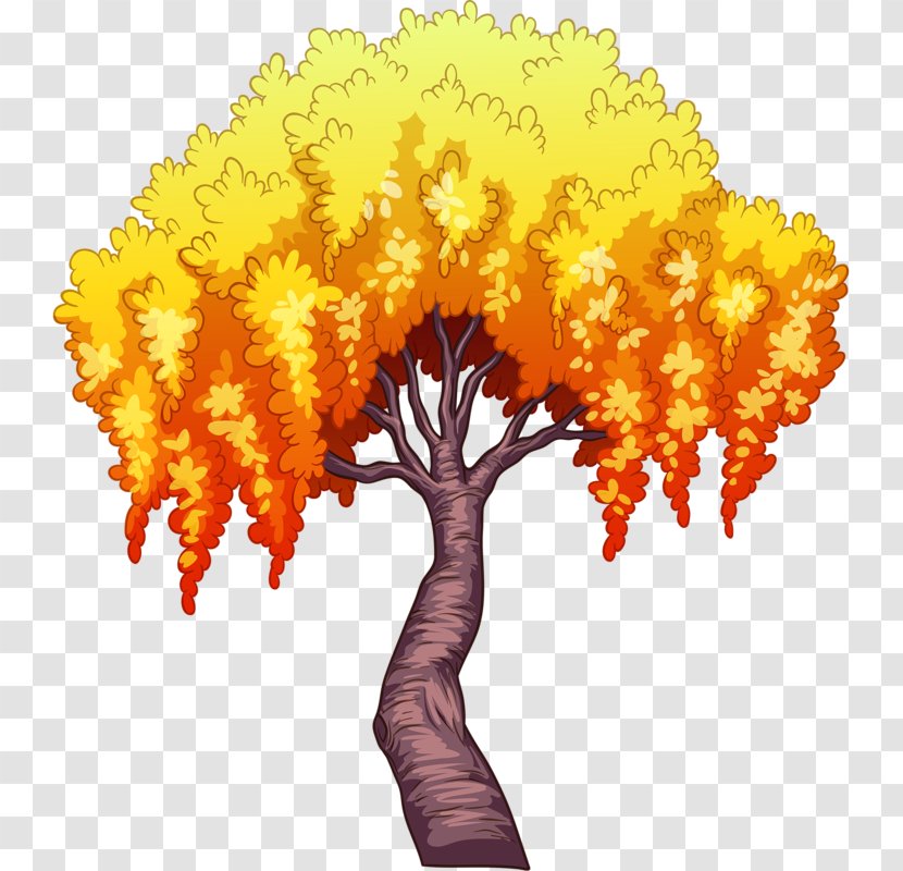 Vector Graphics Stock Illustration Royalty-free Tree - Photography Transparent PNG