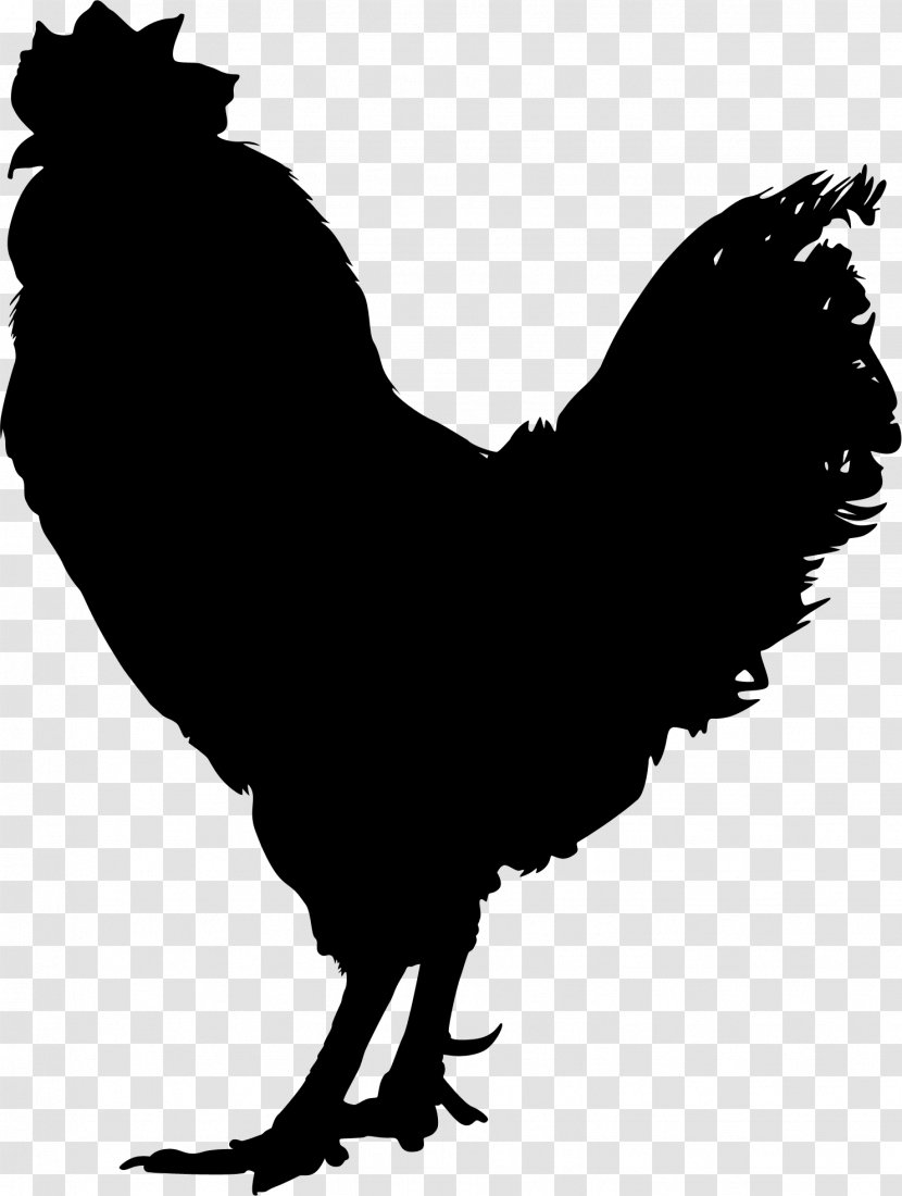 Chicken Vector Graphics Rooster Illustration Royalty-free - Poultry - Blackandwhite Transparent PNG