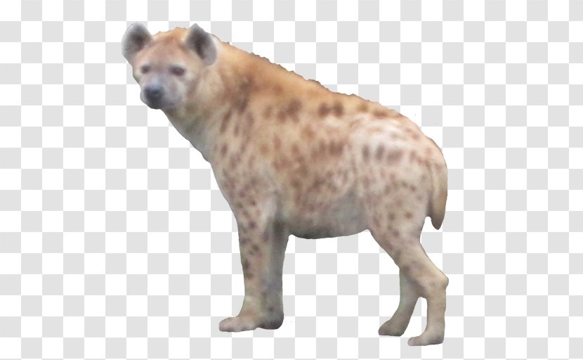 Google Play Hyena Android Transparent PNG