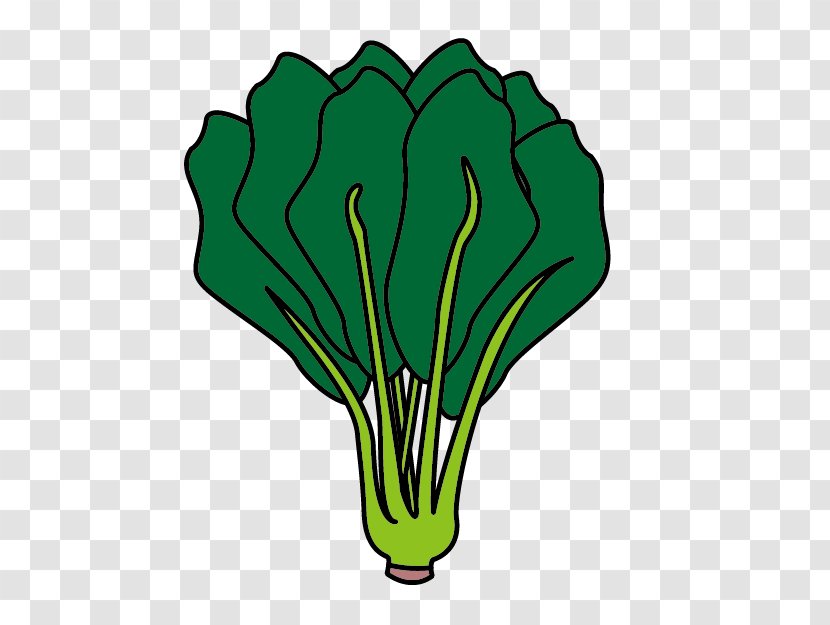 Leaf Parsley Green Produce Vegetable - Kan - Bayam Ecommerce Transparent PNG