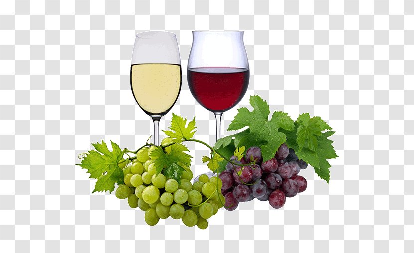Red Wine White Rosé Merlot - Silvaner - Wein Transparent PNG