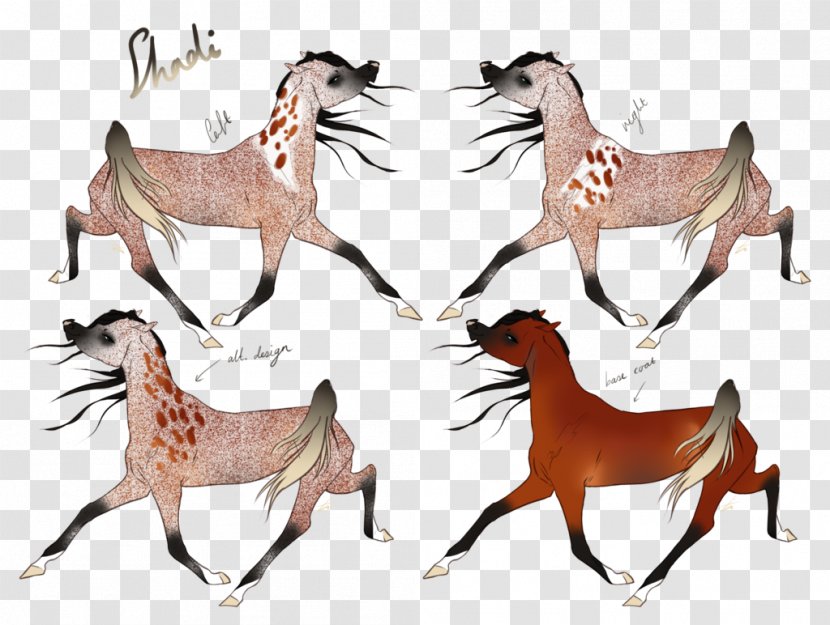 Mustang Deer Freikörperkultur Wildlife Horse - 2019 Ford Transparent PNG