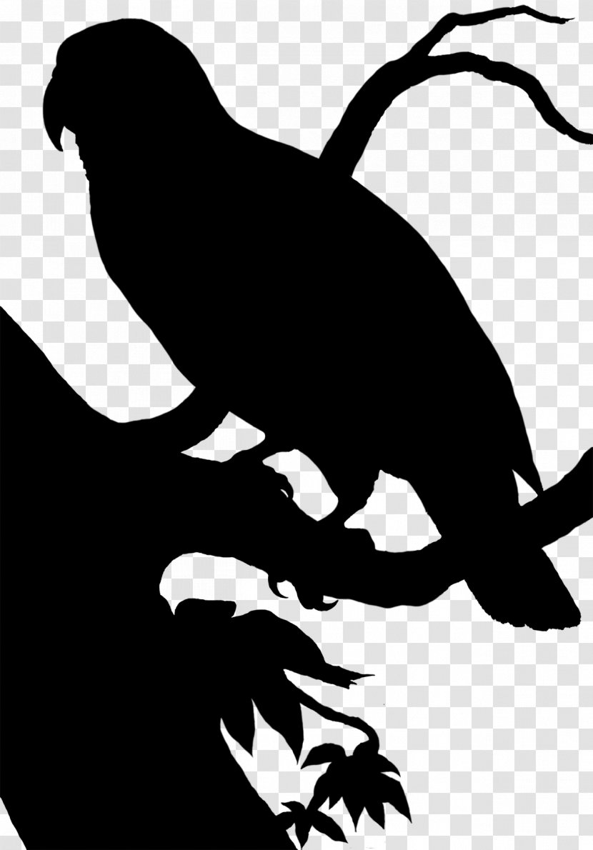 Beak Clip Art Fauna Silhouette Black M - Coloring Book Transparent PNG