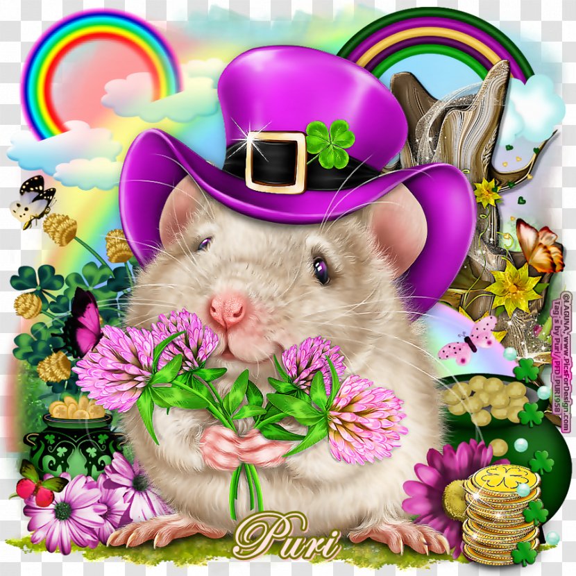 Hamster Whiskers Snout - Mouse - Computer Transparent PNG