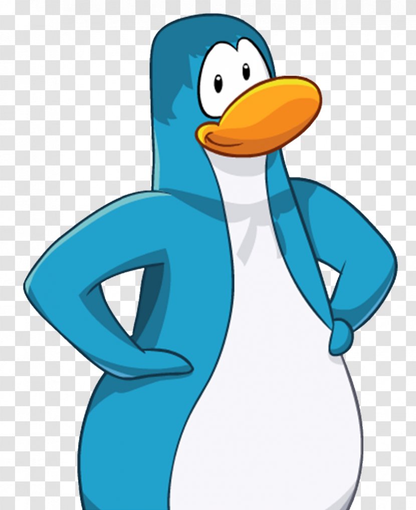 Club Penguin Flightless Bird Wiki Transparent PNG