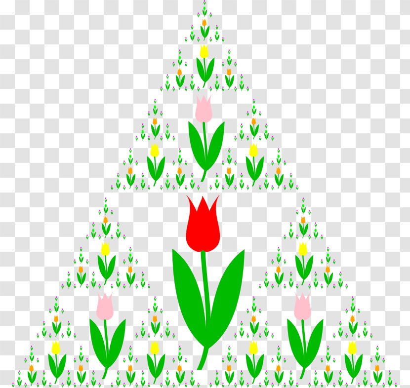 Fractal Art Scaling Mathematics Clip - Pine Family - Tulips Transparent PNG
