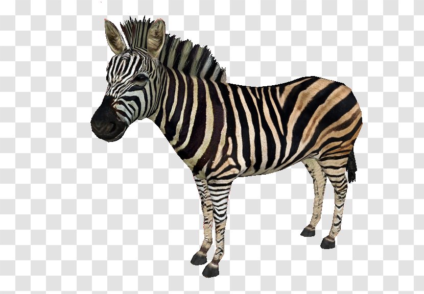 Zoo Tycoon 2: Extinct Animals Quagga Horses Chapman's Zebra Transparent PNG
