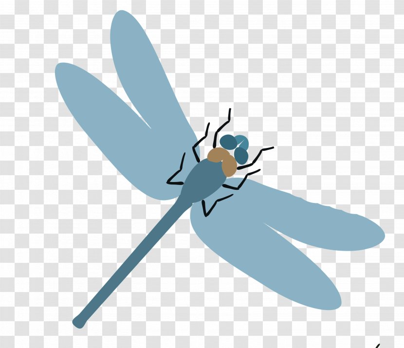 Beetle Ant Mosquito - Bee - Dragonfly Transparent PNG