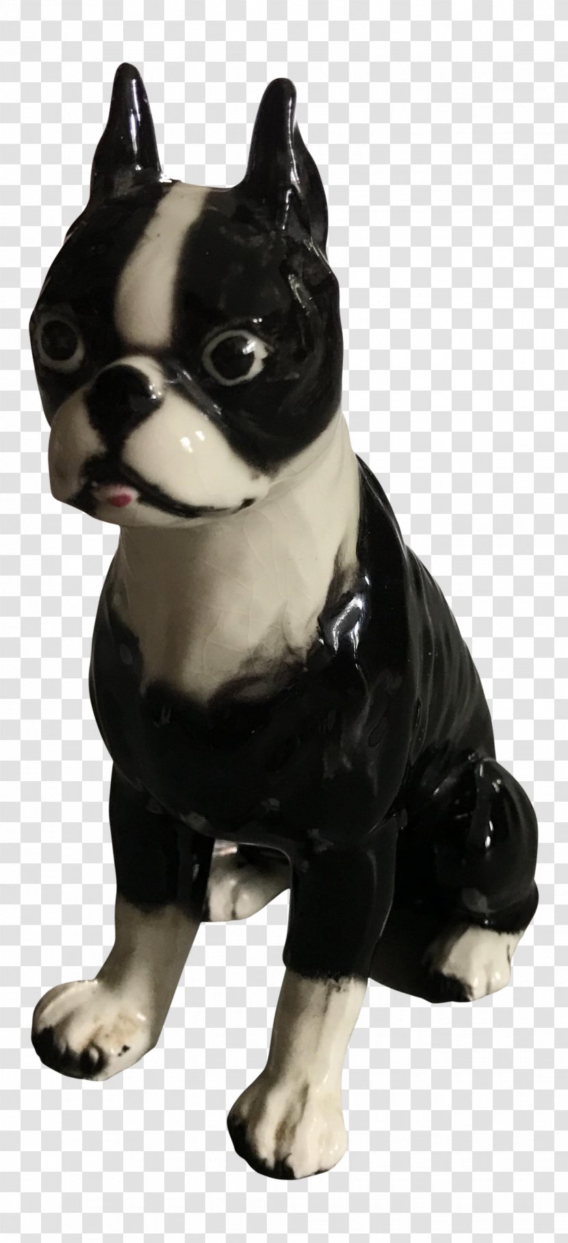 Boston Terrier Dog Breed Companion Non-sporting Group - Black French Bulldog Transparent PNG