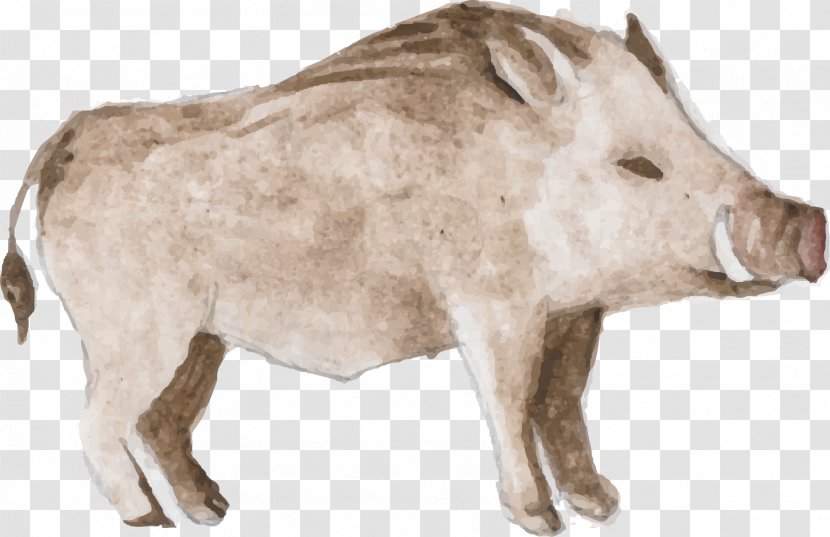 Animal Watercolor Painting - Domestic Pig - Gray Boar Vector Transparent PNG