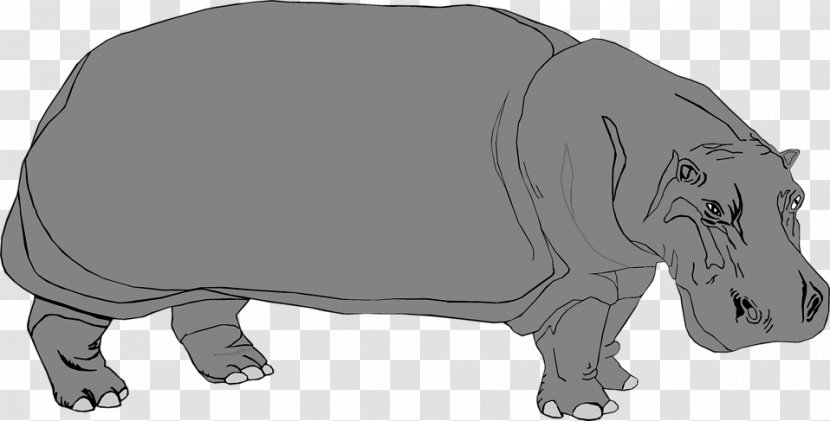 Hippopotamus Rhinoceros Pig - Terrestrial Animal - Hippo Transparent PNG