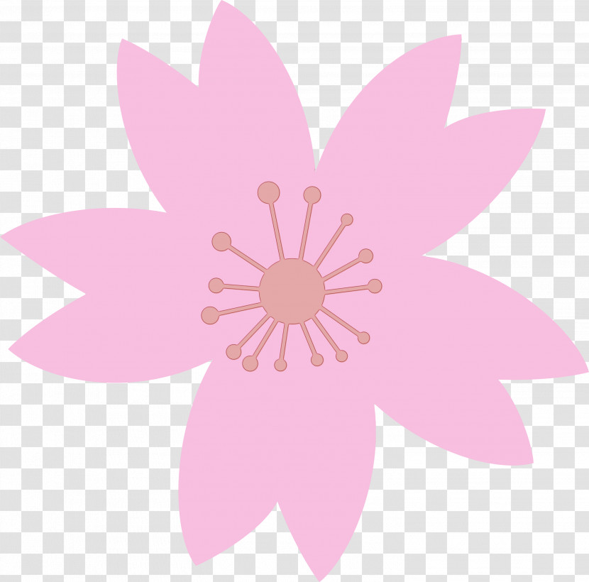 Pink Petal Flower Plant Wildflower Transparent PNG