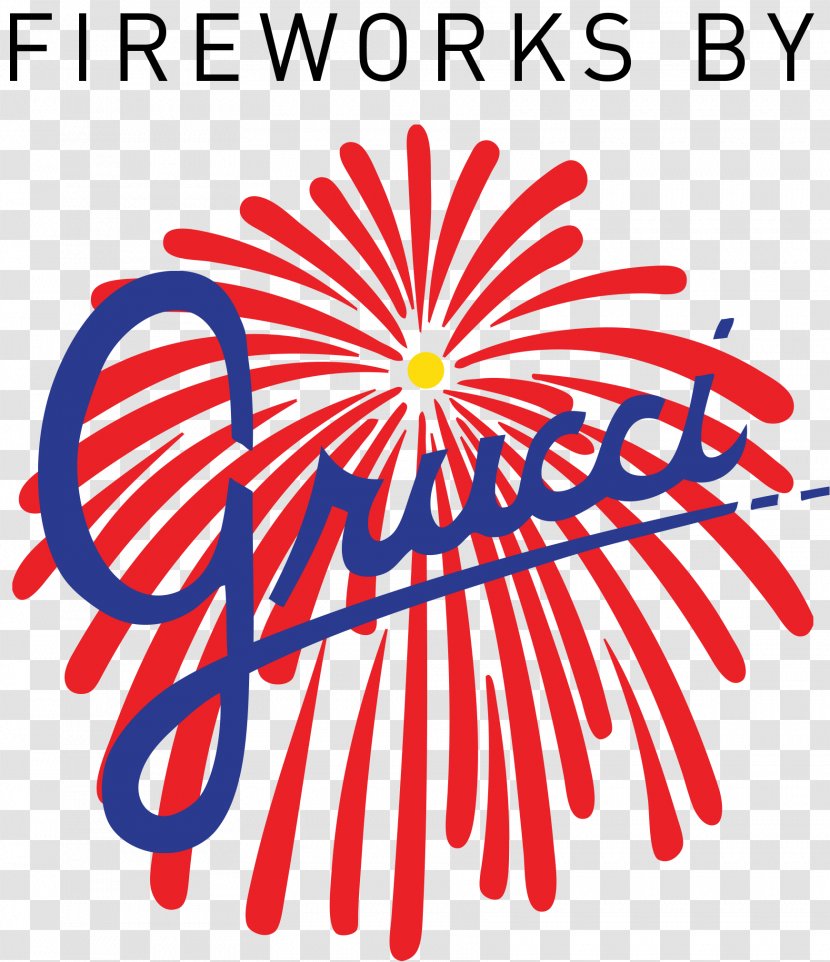 Bellport Fireworks By Grucci New Year's Day Transparent PNG