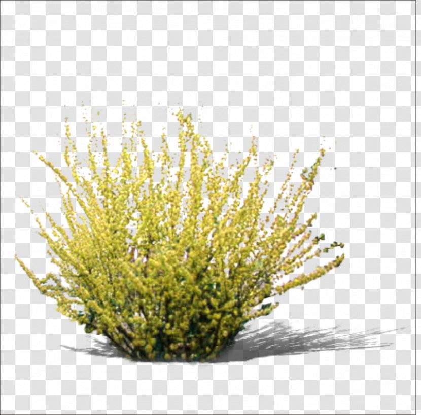 Yellow RGB Color Model - Raster Graphics - Grass Transparent PNG