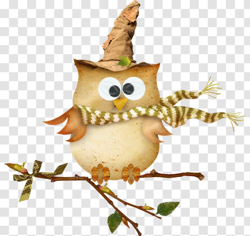 Bird True Owl Little - Cute Transparent PNG
