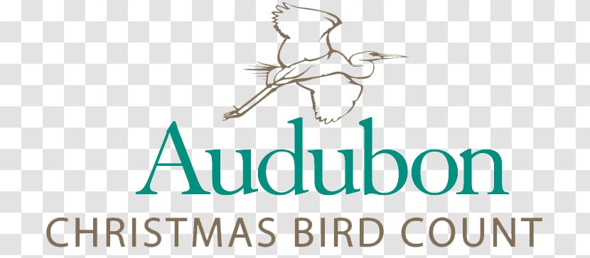 National Audubon Society Christmas Bird Count Conservation - Wildlife Transparent PNG