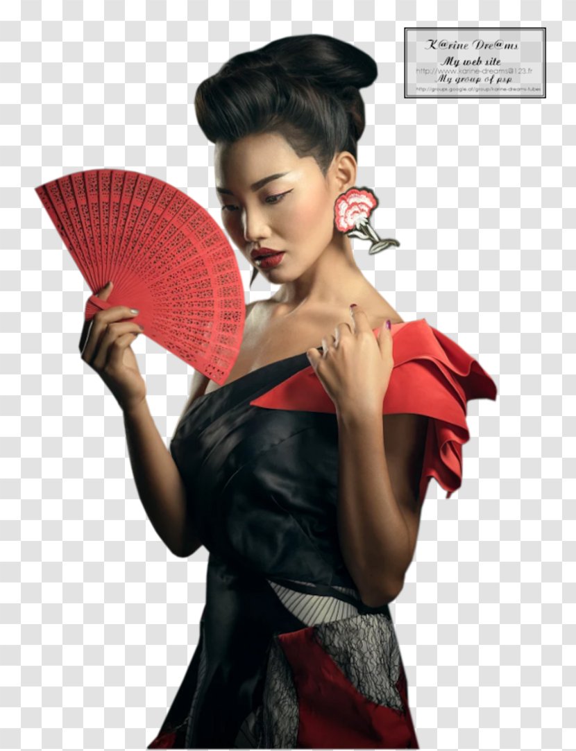 Centerblog Geisha - Fashion Model - Tube 2018 Transparent PNG