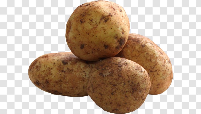 Russet Burbank Potato Yukon Gold Irish Candy Tuber STX EUA 800 F.SV.PR USD - Potatoes Transparent PNG